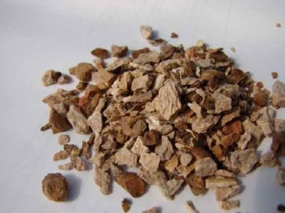 Dioscorea composita - Yam root